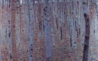 Il racconto del mese: “Il bosco di faggi”