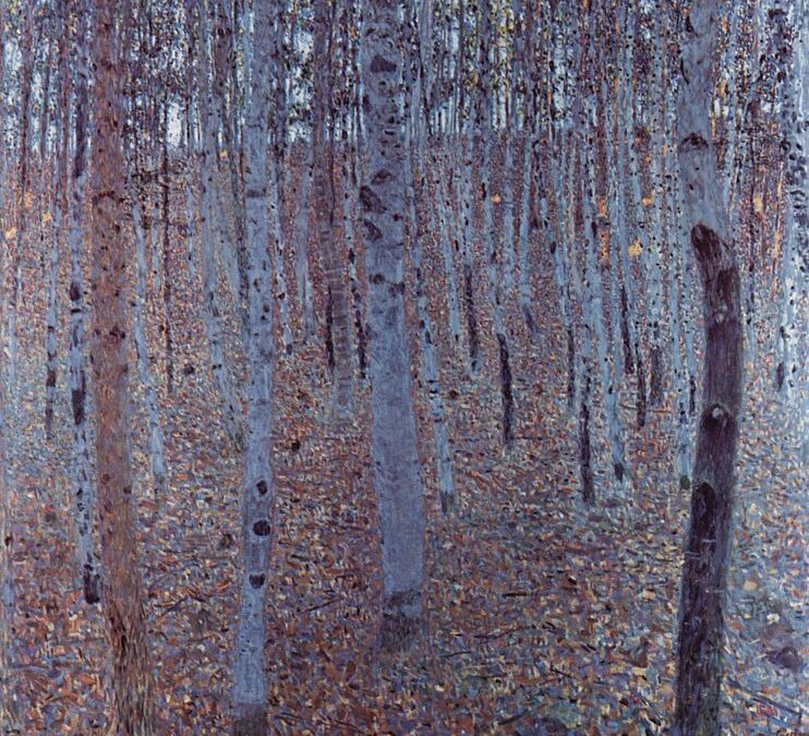 Il racconto del mese: “Il bosco di faggi”